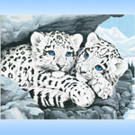 Детеныши снежного леопарда